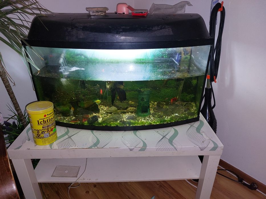 Sprzedam akwarium bez filtra 75/80 litrów z oświetleniem