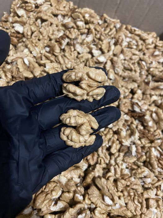 Горіх волоський ( грецький)