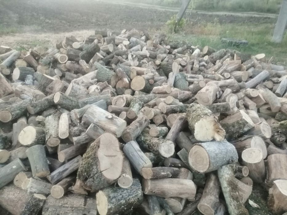 Продам дрова різних порід.