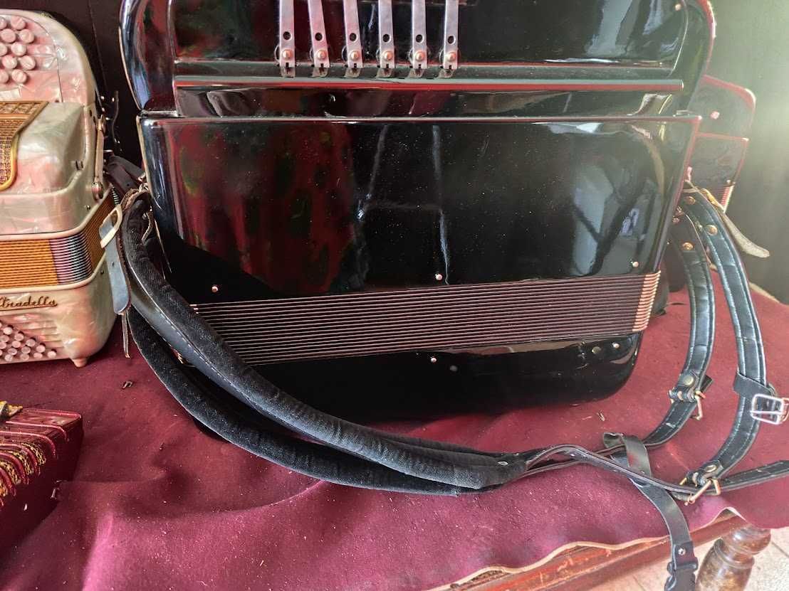 Acordeon com microfones modernos pilha 9v troco por dois