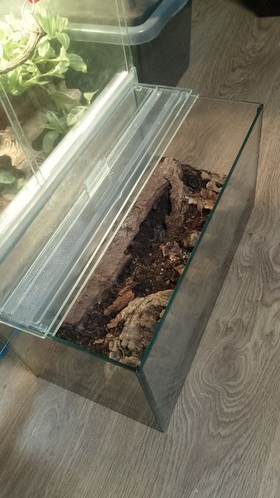 Терраріум 40х20х20