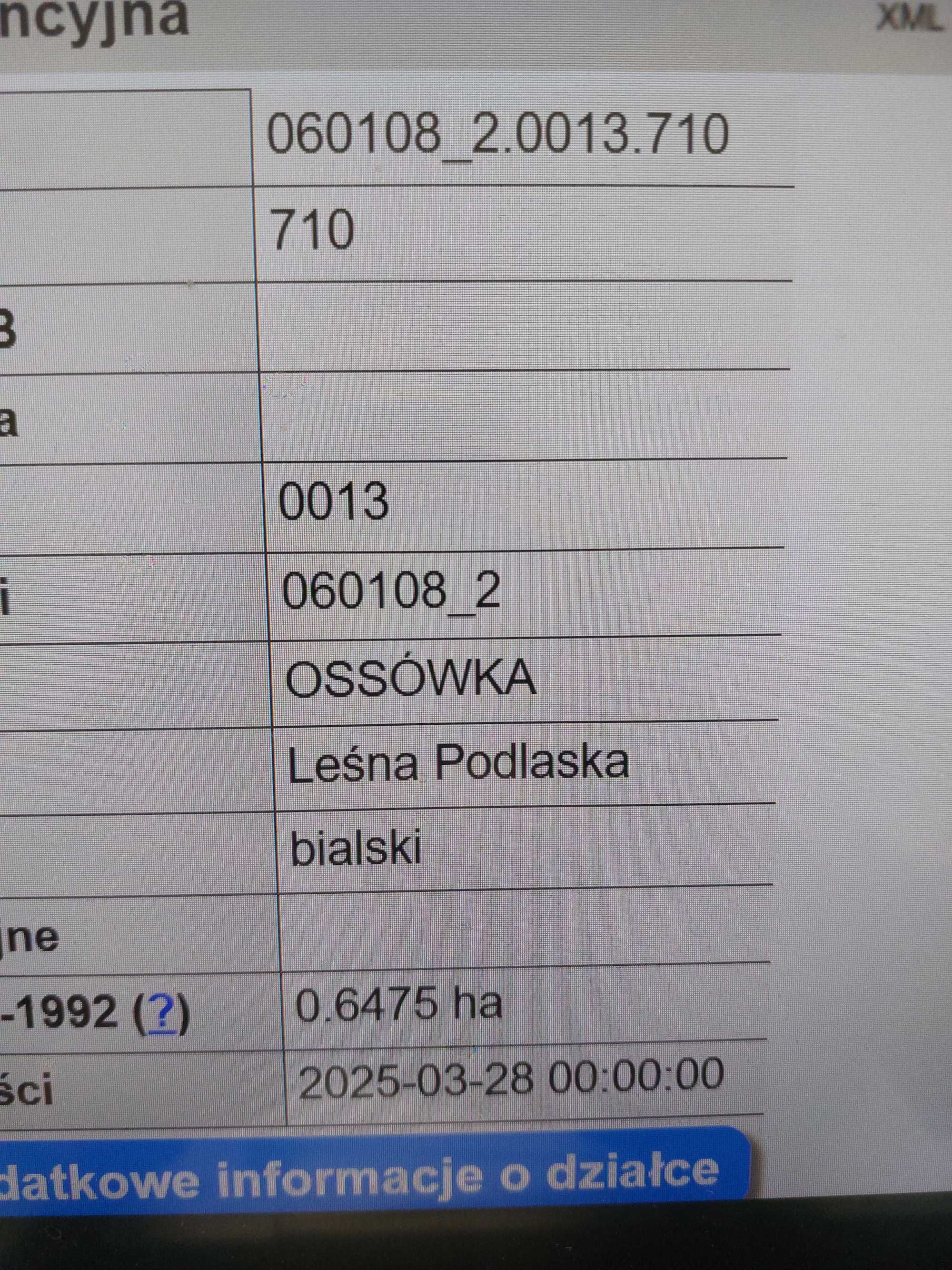Las Witulin Gmina Lesna Podlaska