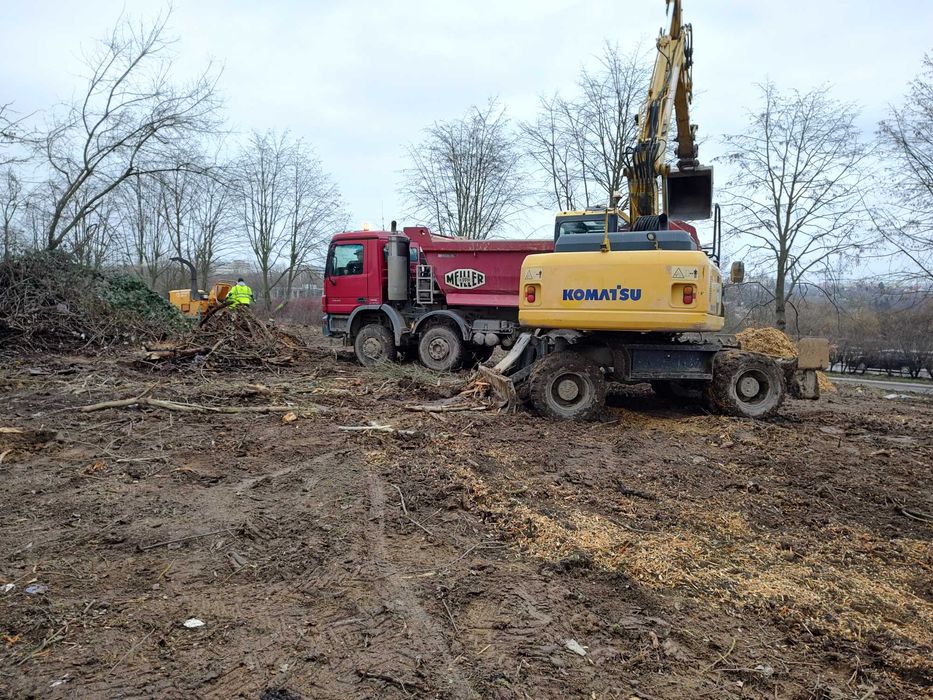 Wycinki drzew wywóz gałęzi karczowanie rębak wywóz korzeni drwal