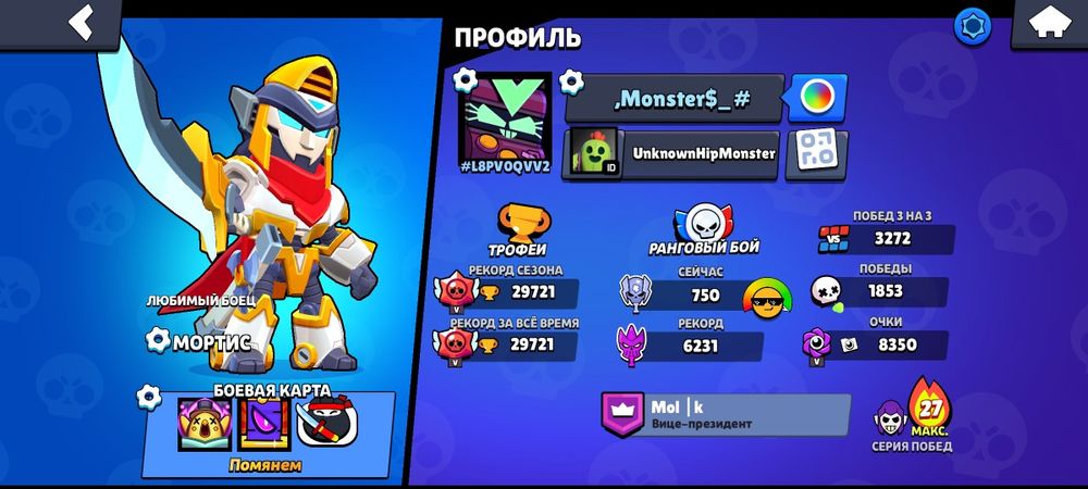 Акаунт в БС багато різних скінів