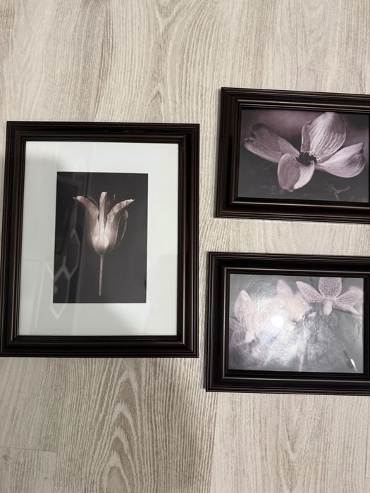 Zestaw ramek do powieszenia na ścianie