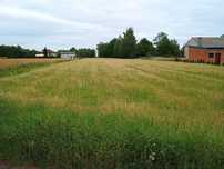Sprzedam działkę (nieruchomość rolna) 1,37 ha – Rychwał k. Konina