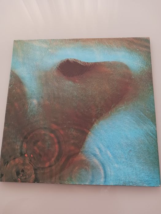Disco LP de vinil Pink Floyd