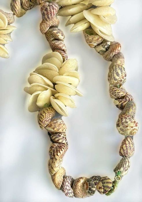 Colar de Mini-Búzios e Mini Conchas Naturais, NOVO/Exclusivo/Único