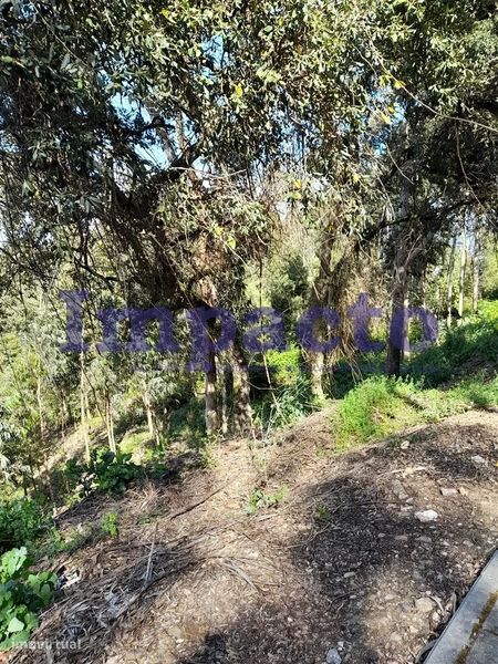 Terreno Rústico em Crestuma, Vila Nova de Gaia