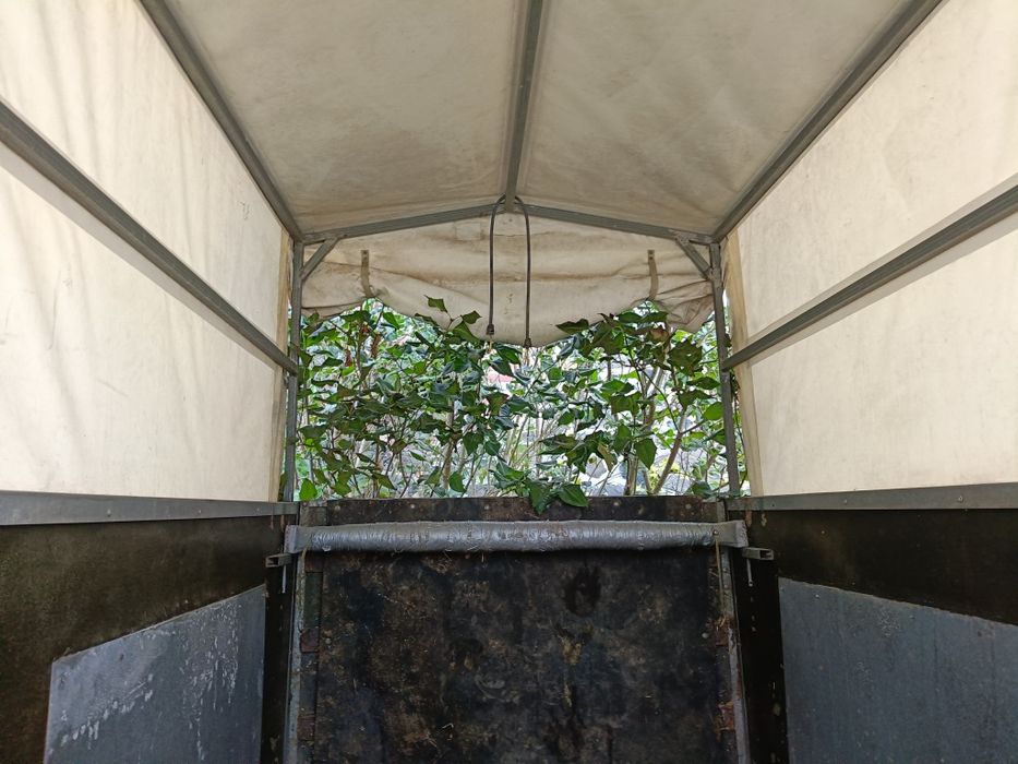 Przyczepa koniowóz, do przewozu koni, kat.B, DMC 1300 kg