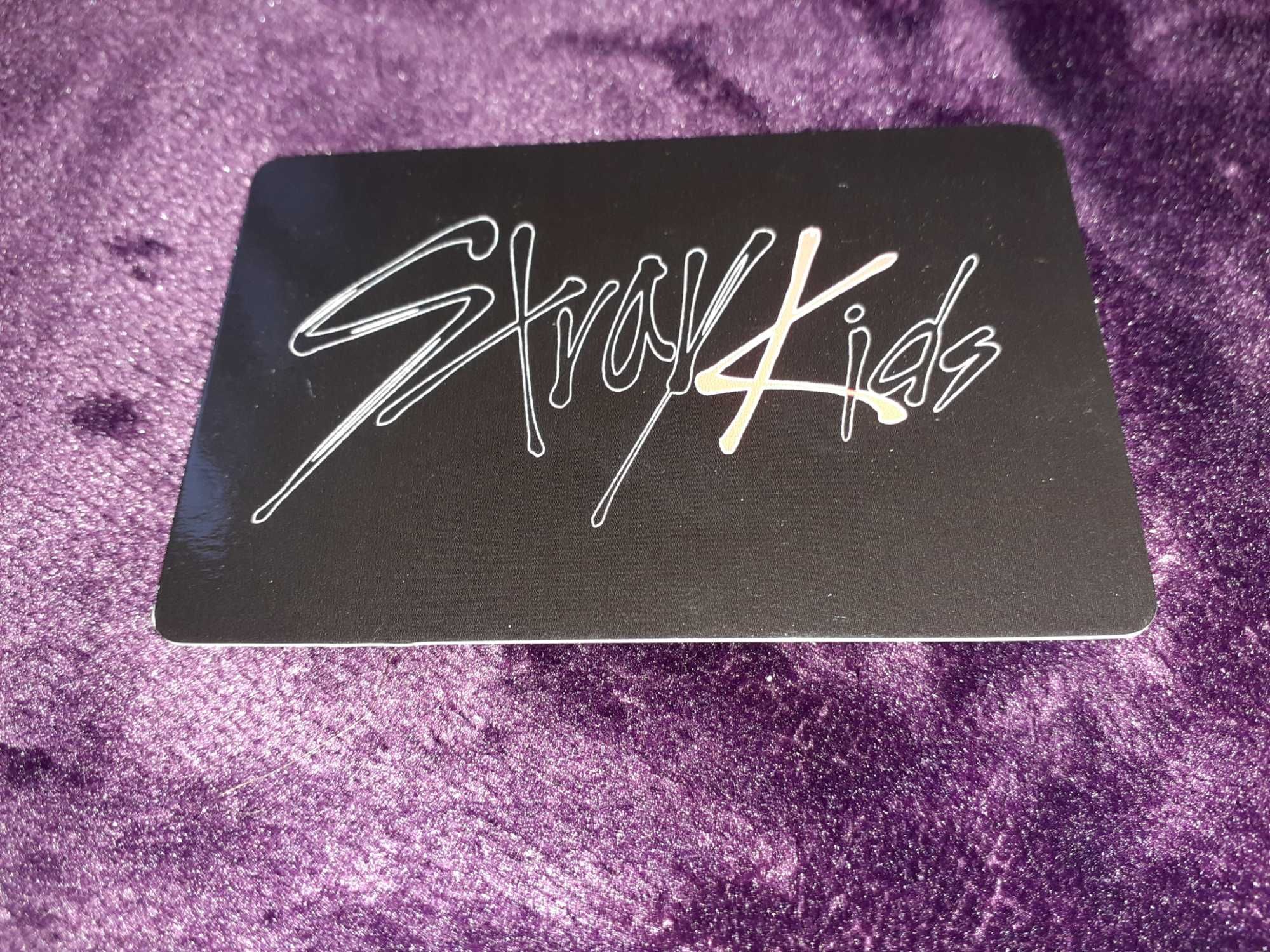 Sprzedam photocard grupową Stray Kids In Life kpop