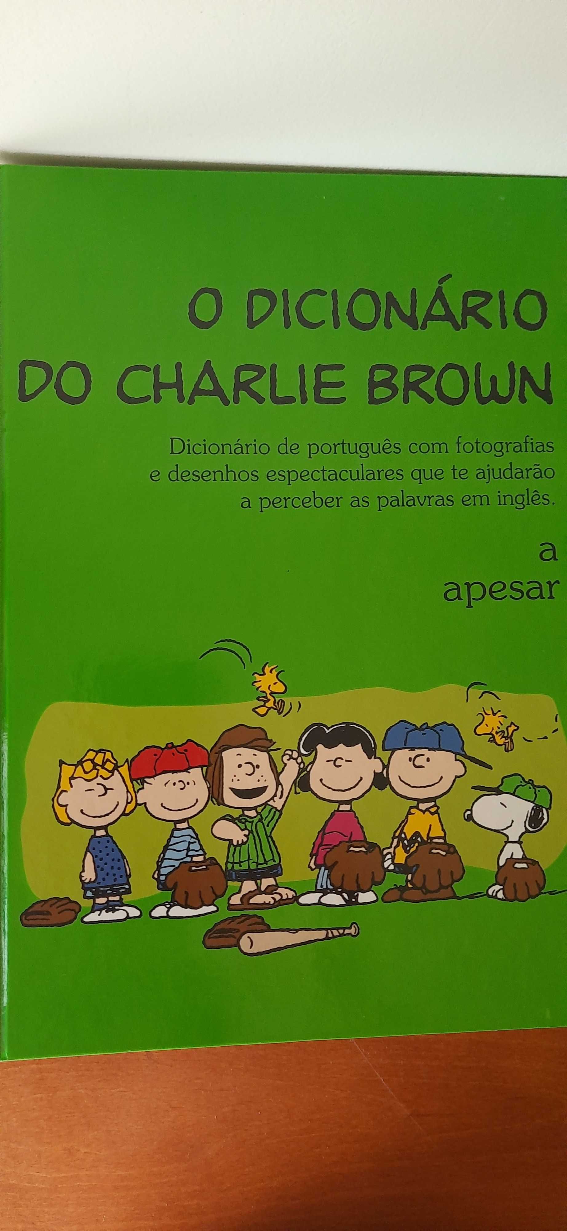 Coleção de 16 Dicionários do Charlie Brown Novos.