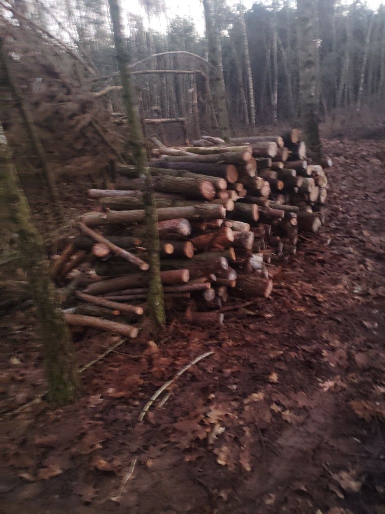 Drewno opałowe..