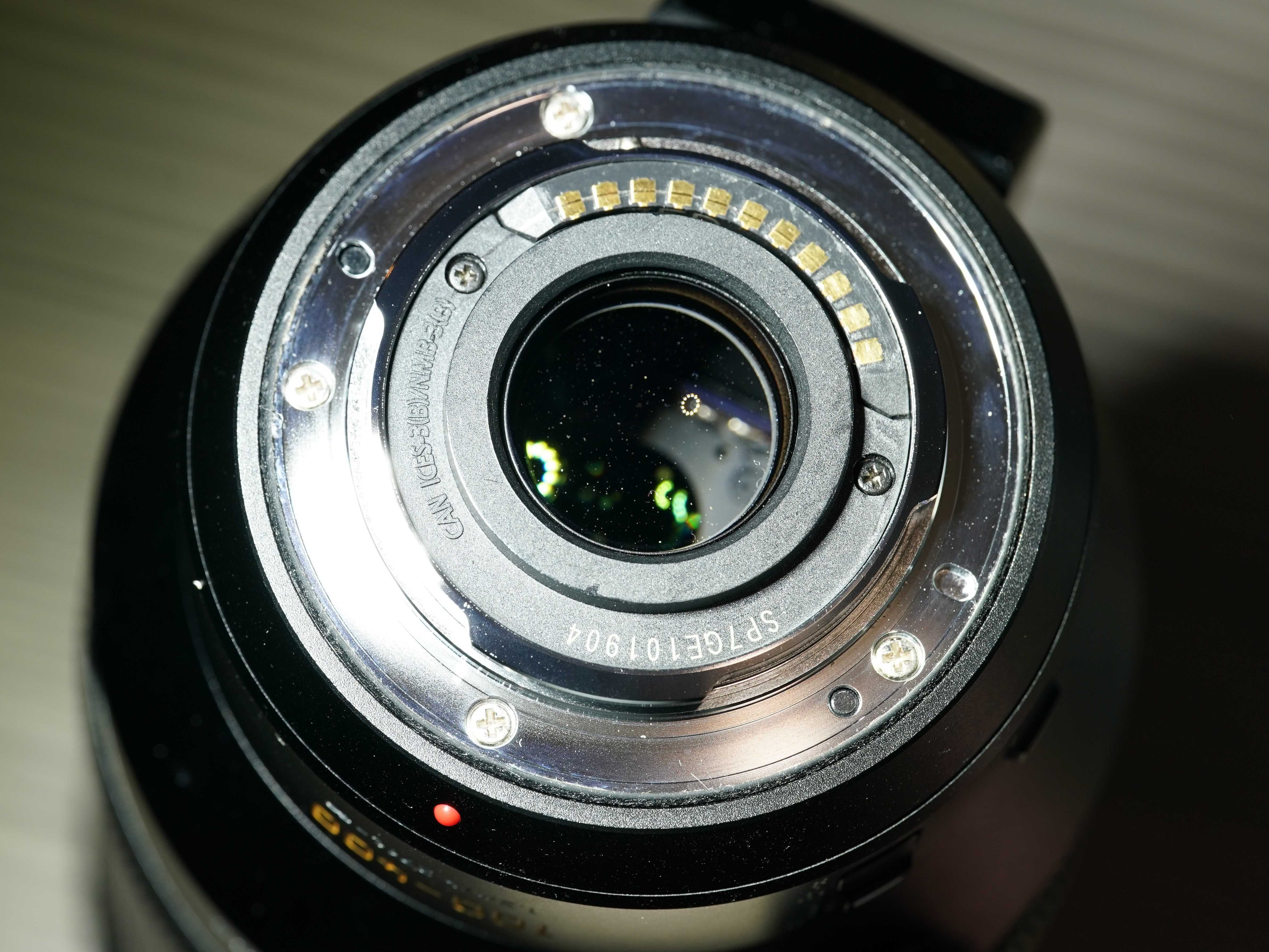 Panasonic Leica DG Vario-Elmar 100-400mm f/4-6.3 ASPH. Power O.I.S.
