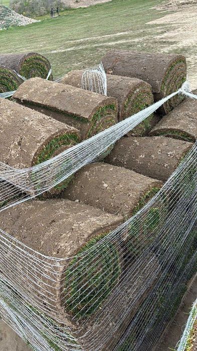 Trawa Z Rolki / PRODUCENT / Transport