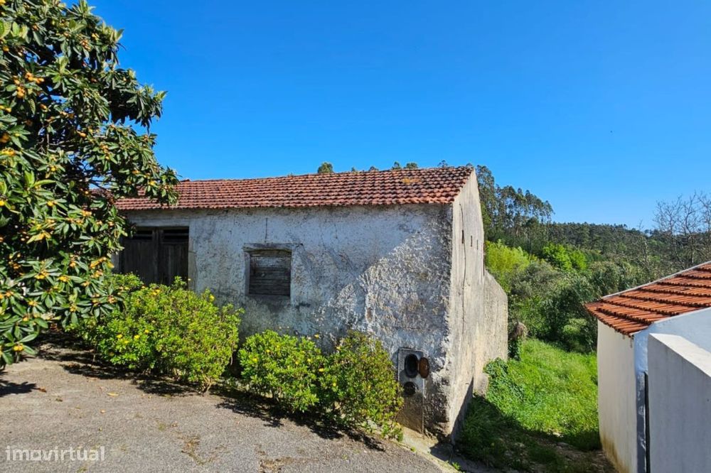 Espaço Térreo em Barcouço, Mealhada | ERA Imobiliária