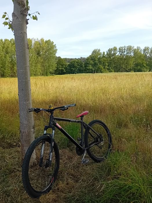 Bike para whelling