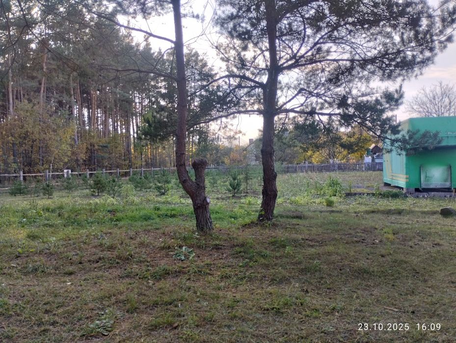 Продається земельна ділянка 12 соток поряд ліс