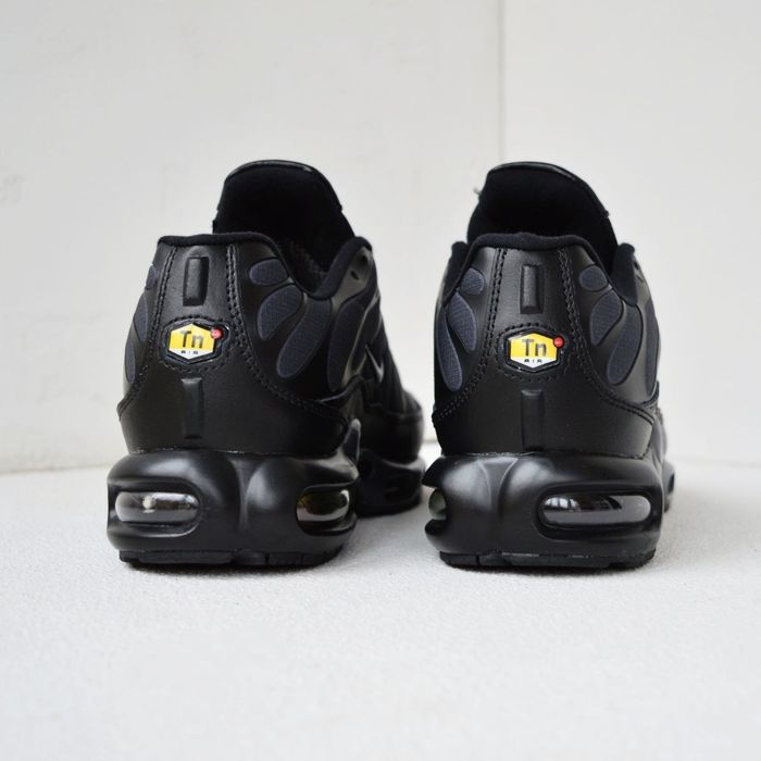 Nike Air Max Plus TN Waterproof кросівки чоловічі термо найк зимові