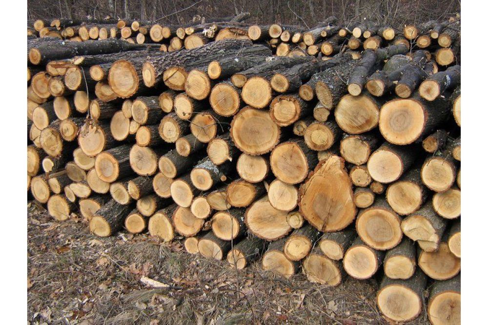 Дрова твердых пород дум акация клен