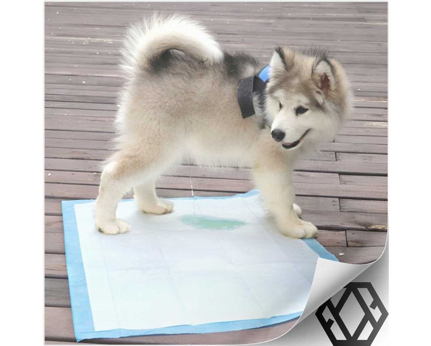 Podkłady Higieniczne Maty dla Psa do Sikania Przewijania 60x90 100 Szt