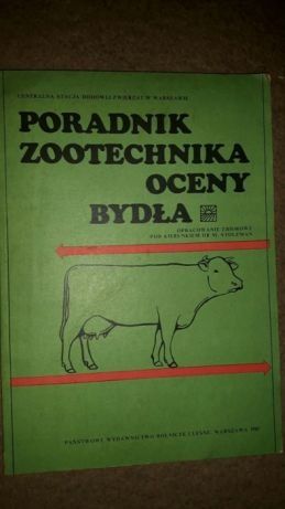 Poradnik zootechnika oceny bydła Stolzman