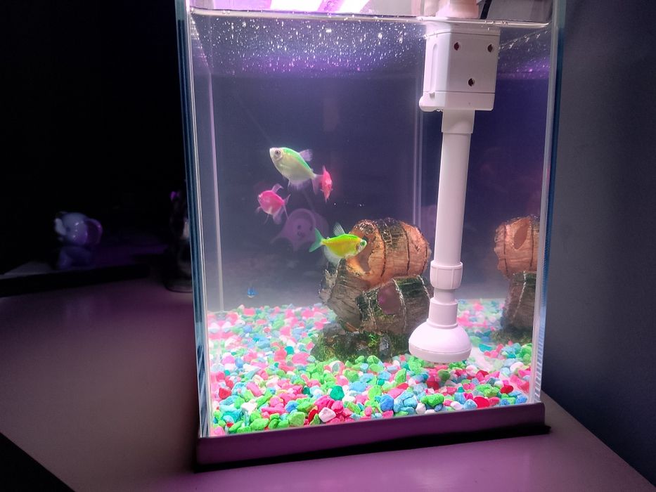 Akwarium na sprzedasz wszystko co na zdj w bardzo dobrym stanie jak no