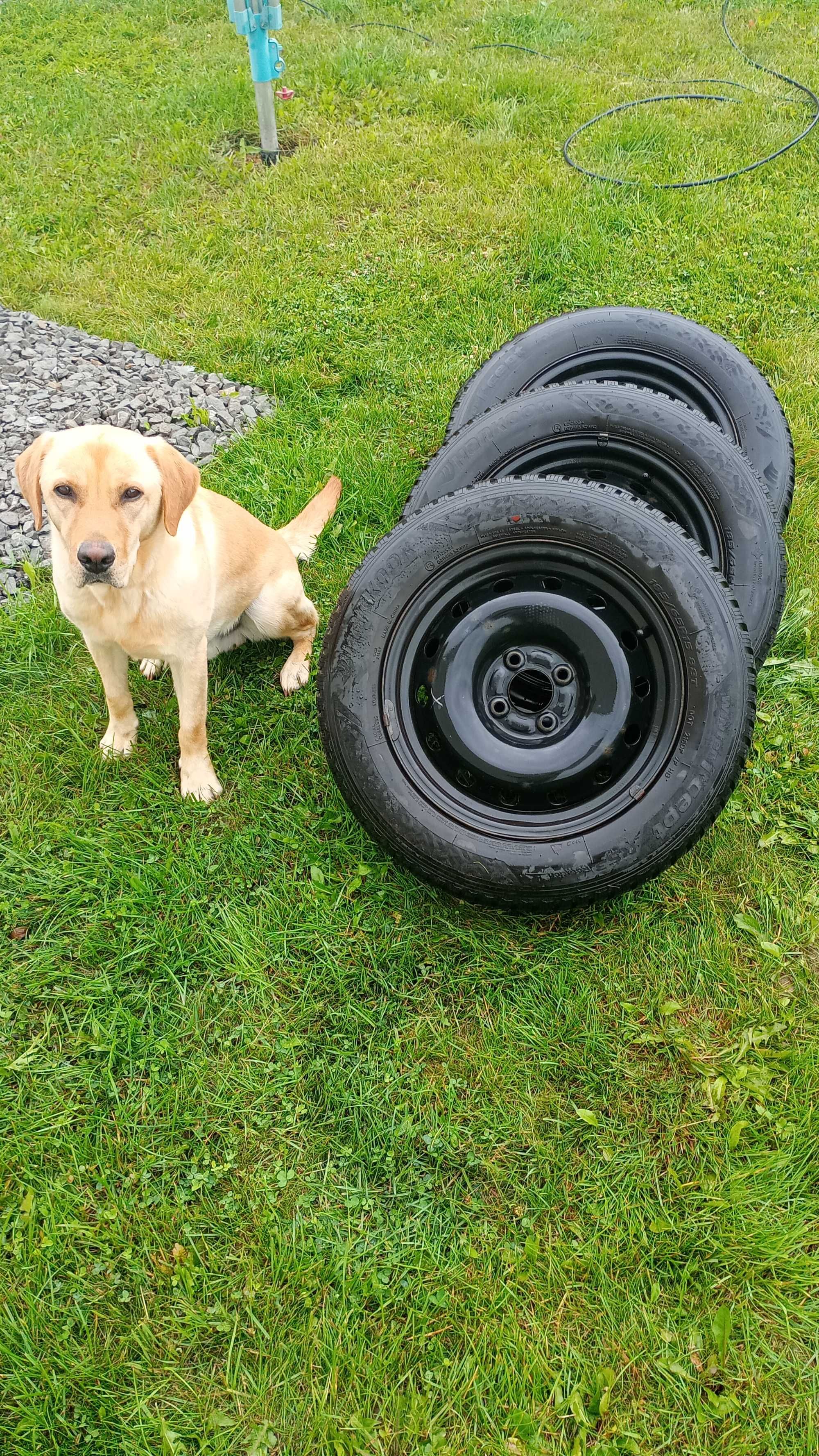 Felgi stalowe 4x100 z oponami zimowymi Hankook 185/65/15 - komplet