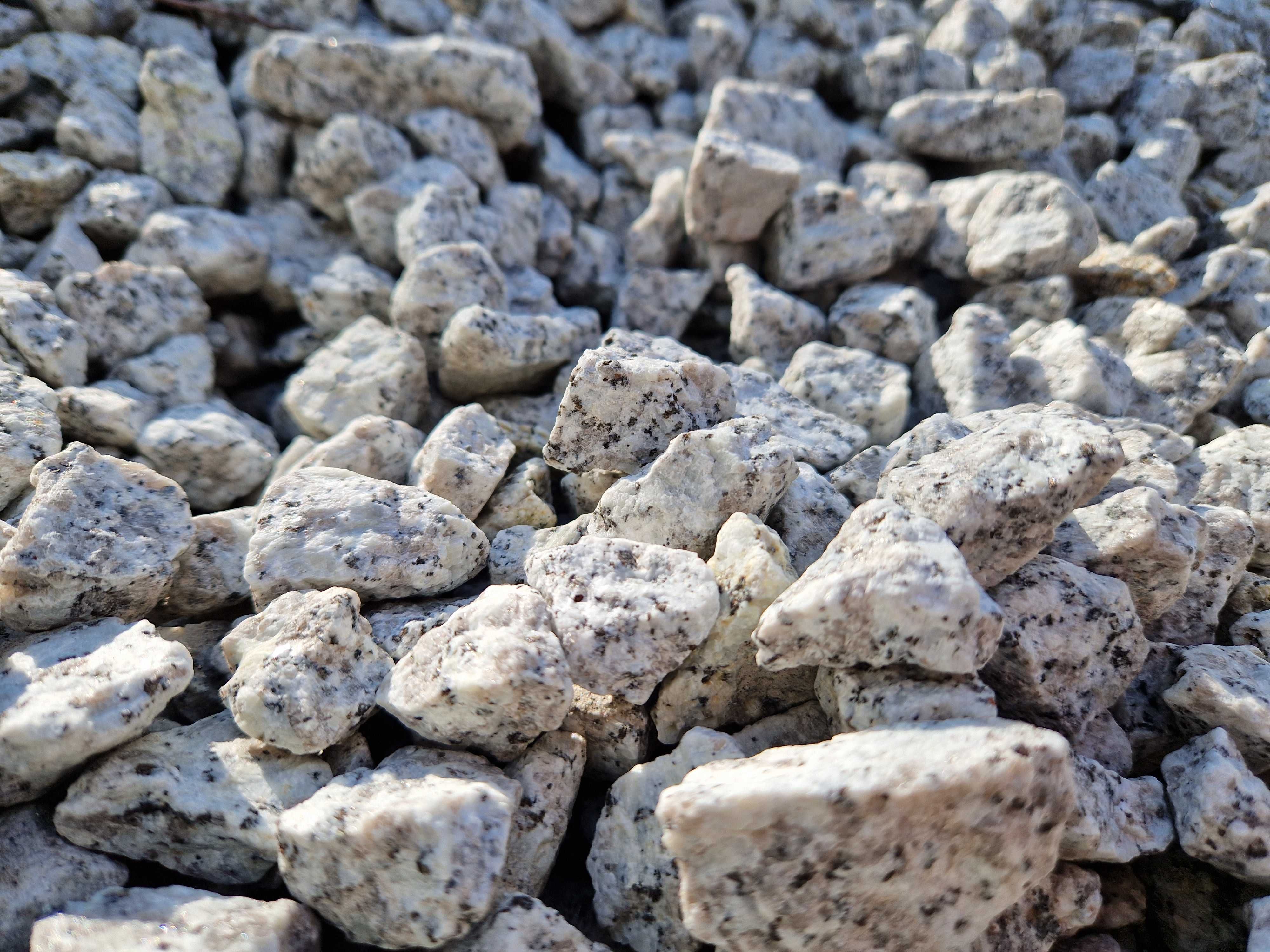 Kamien do gabionu na skarpe granit kora kamienna dalmatynczyk bazalt