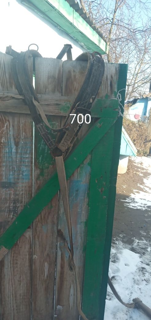 Продам упряж кіну