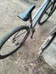 Rower kands colt dirt