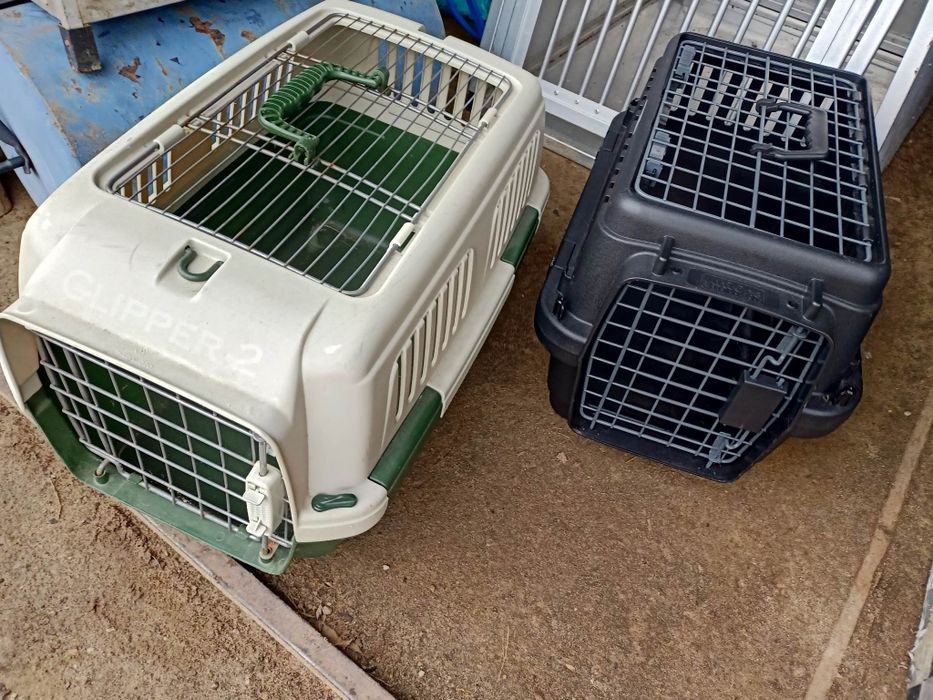 Transporter dla małego psa lub kota