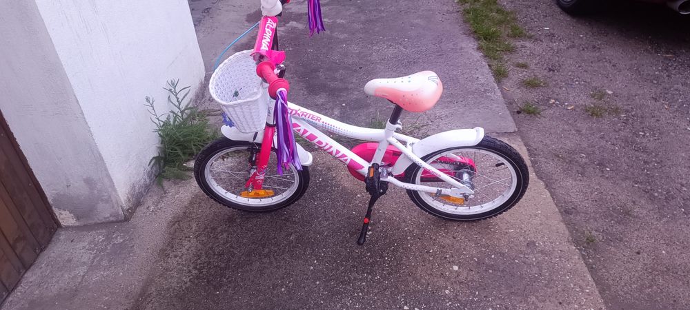 Rower Alpina Starter