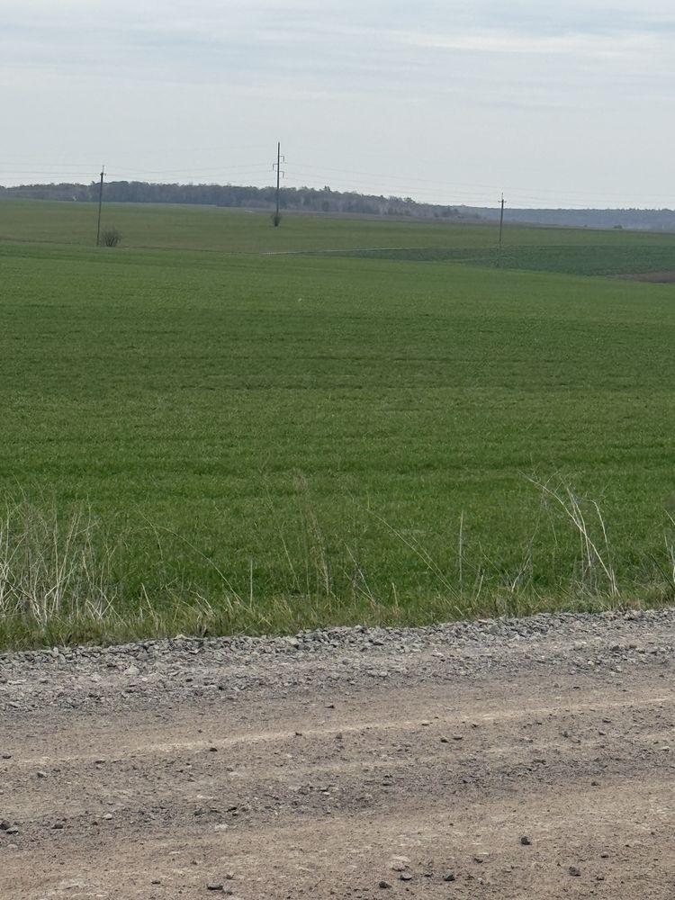 Продам пай 2.8 гектара Тайкури