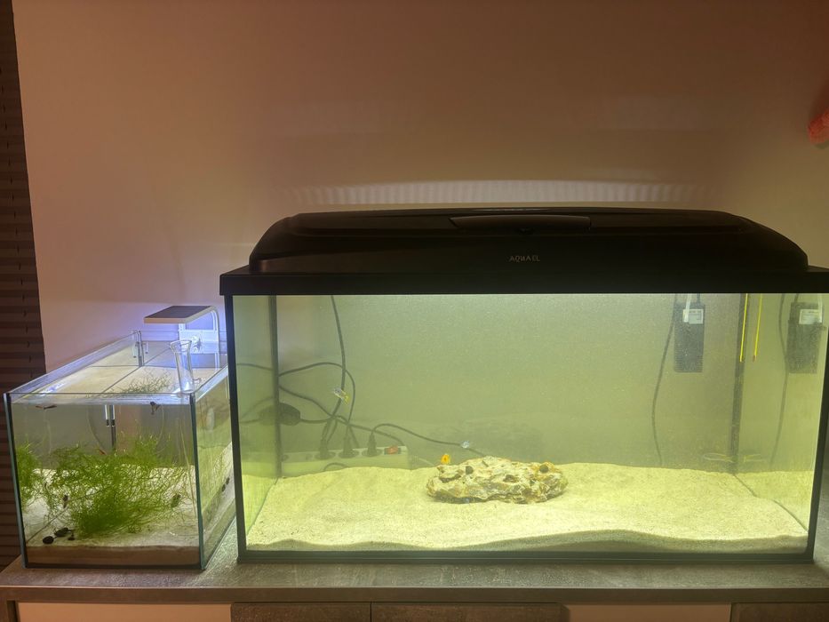 akwarium aquel 112 l