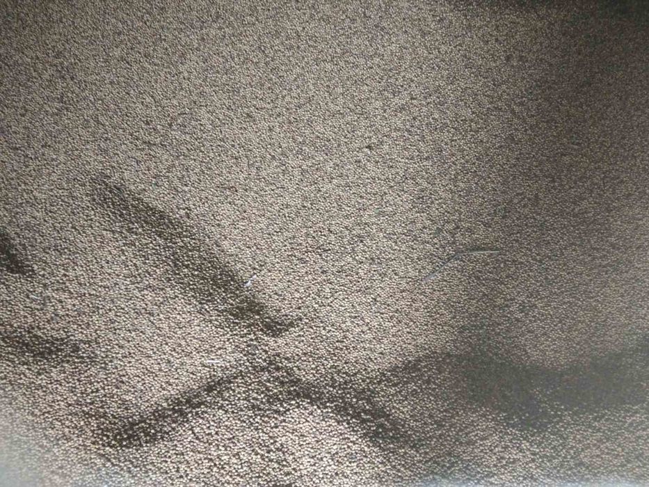 Соя аббі 12 грн.