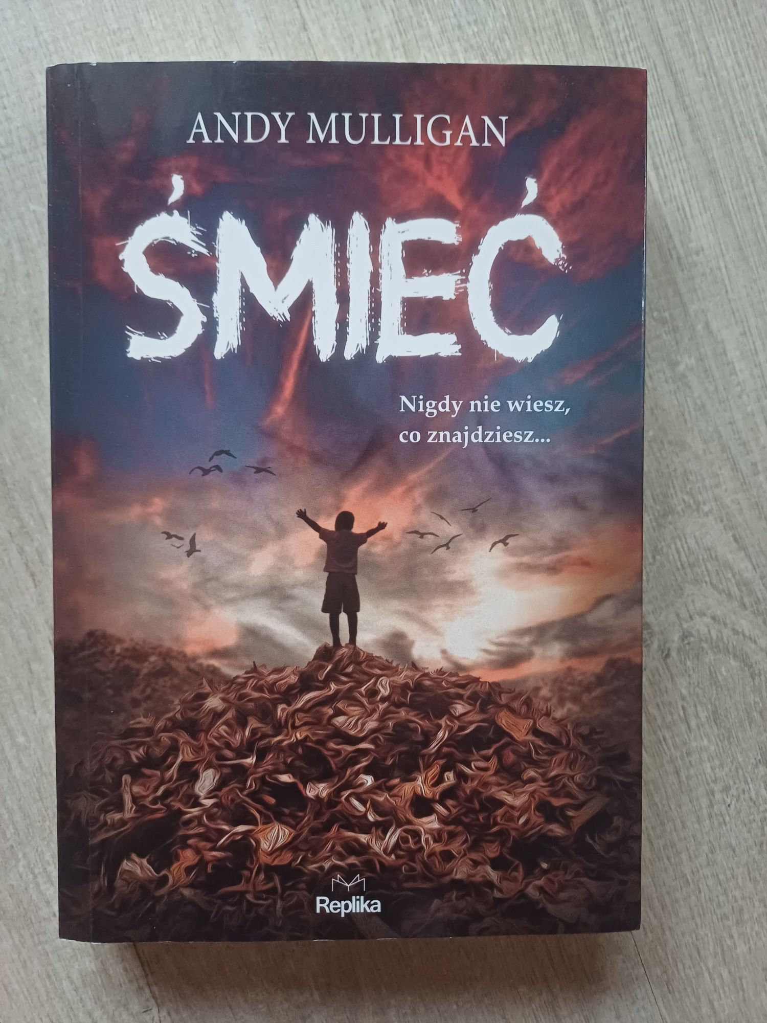 Śmieć Andy Mulligan