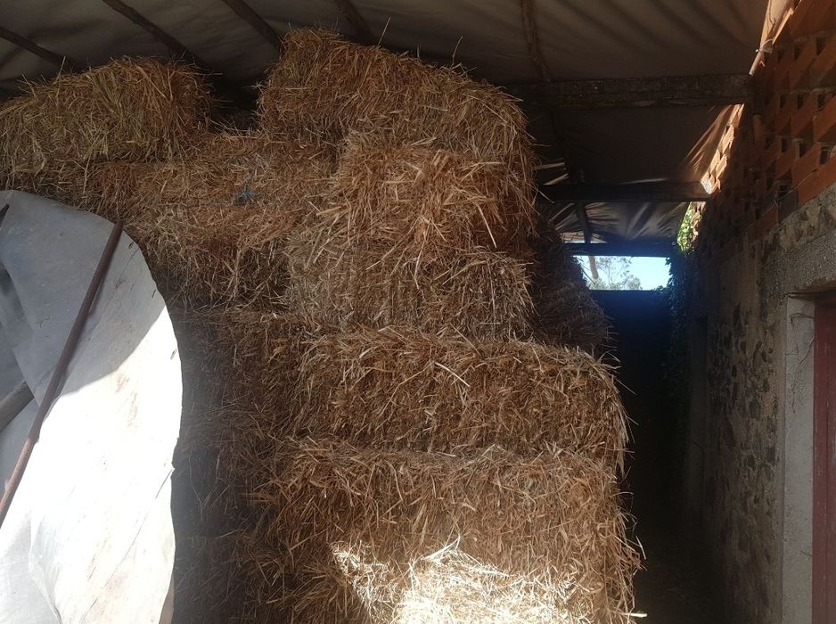 Vendo fardos de palha