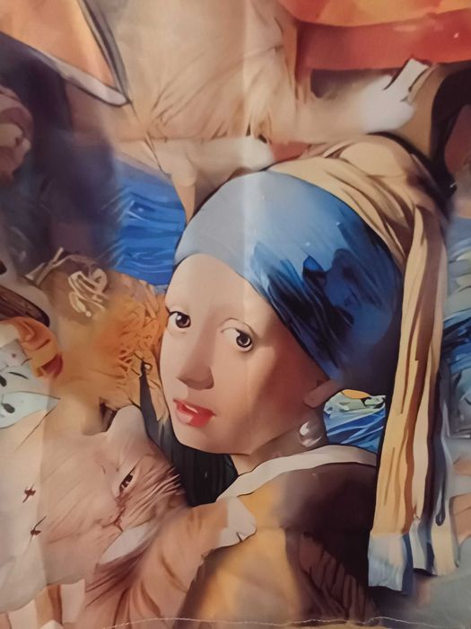 Kolorowa koszula męska XXXL wzory Obrazy,