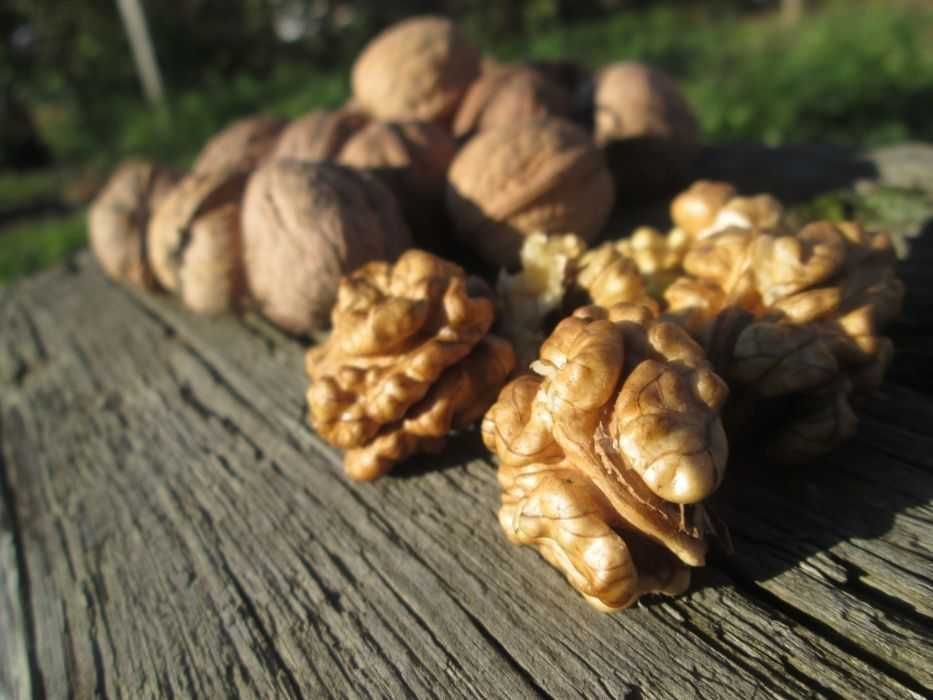 Orzechy włoskie łuskane 1 kg