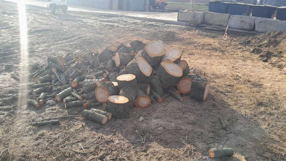 Продам дрова чурки черешня