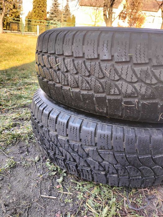 Шини зима 195 65 16 С