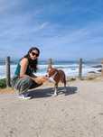 Pet Sitting/Walking Sitting