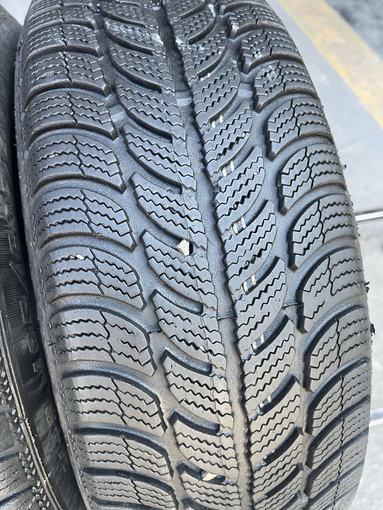 Шини зимові R14 185 60 Sava Eskimo Склад Осокорки RLX