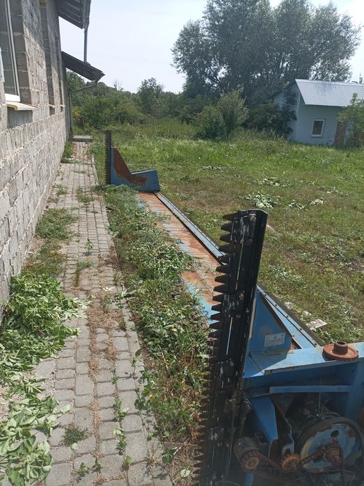 Ріпаковий стіл..