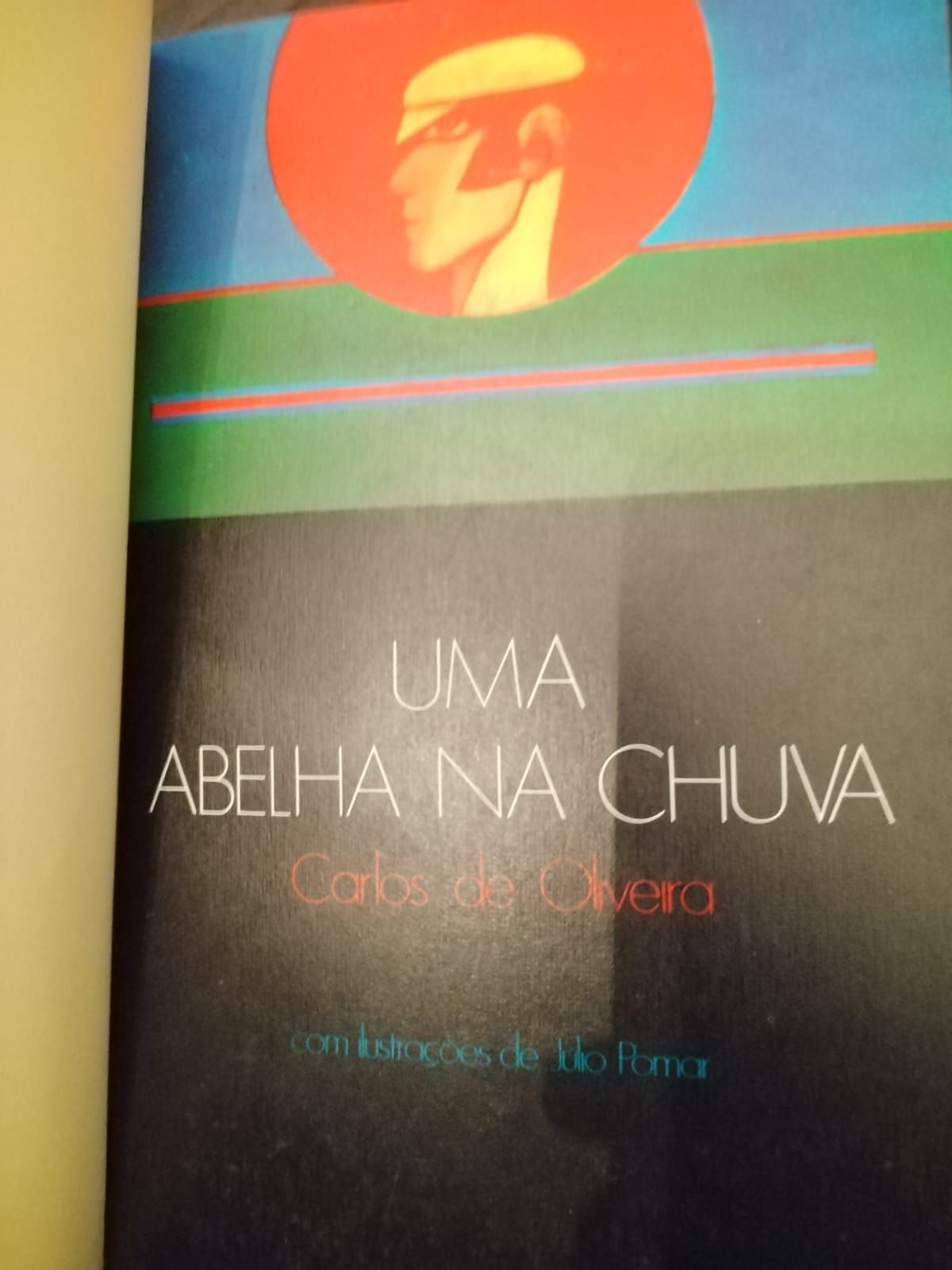 Uma abelha na chuva