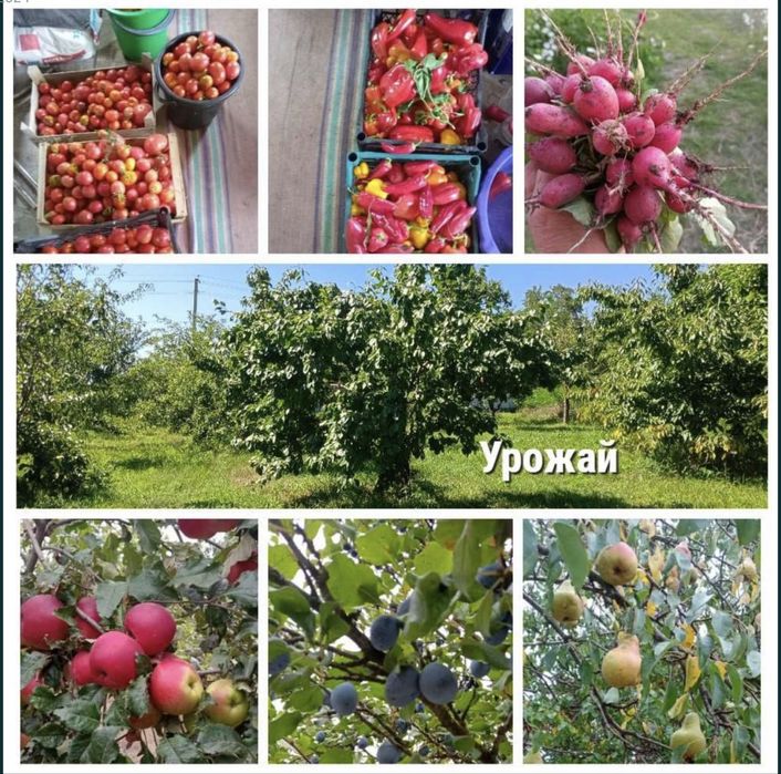 ЦІНА СНИЖЕНА ТИМЧАСОВО. Будинок в тихому, безпечному місці.