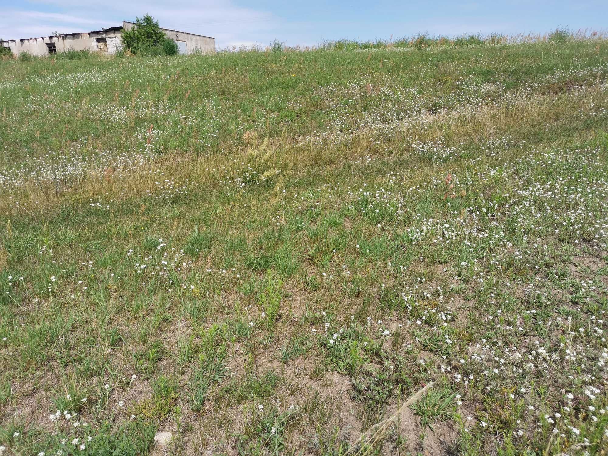 działka budowlana 1170/m2, Trzcianka do BRICO 500m