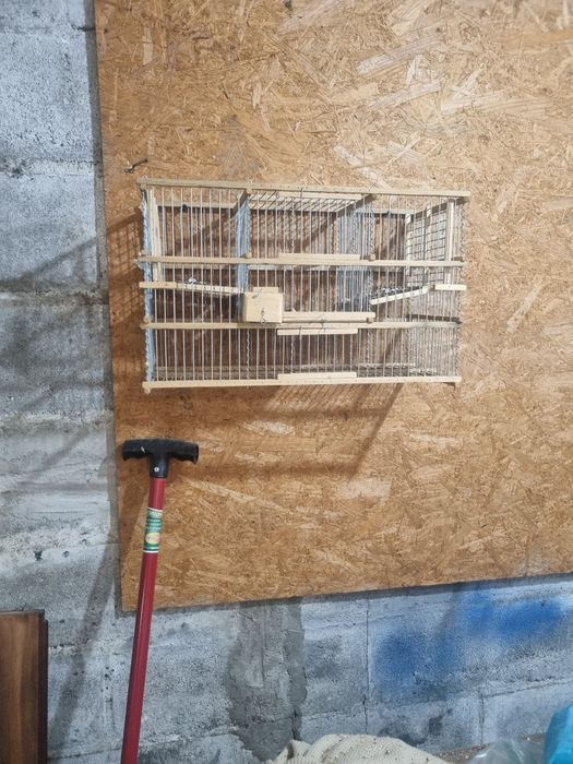 Alçapão automático