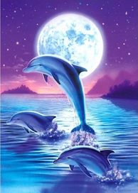 Malowanie Po Numerach Delfiny Księżyc Obraz z Ramą 40x50